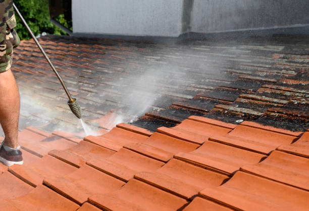 Best Roof Pressure Washing  in Golf Manor, OH